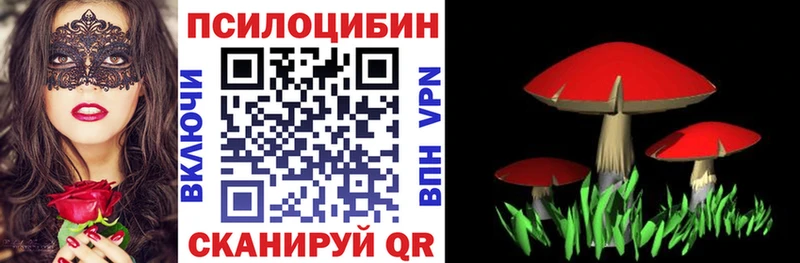 закладки  Гусиноозёрск  Галлюциногенные грибы мицелий 